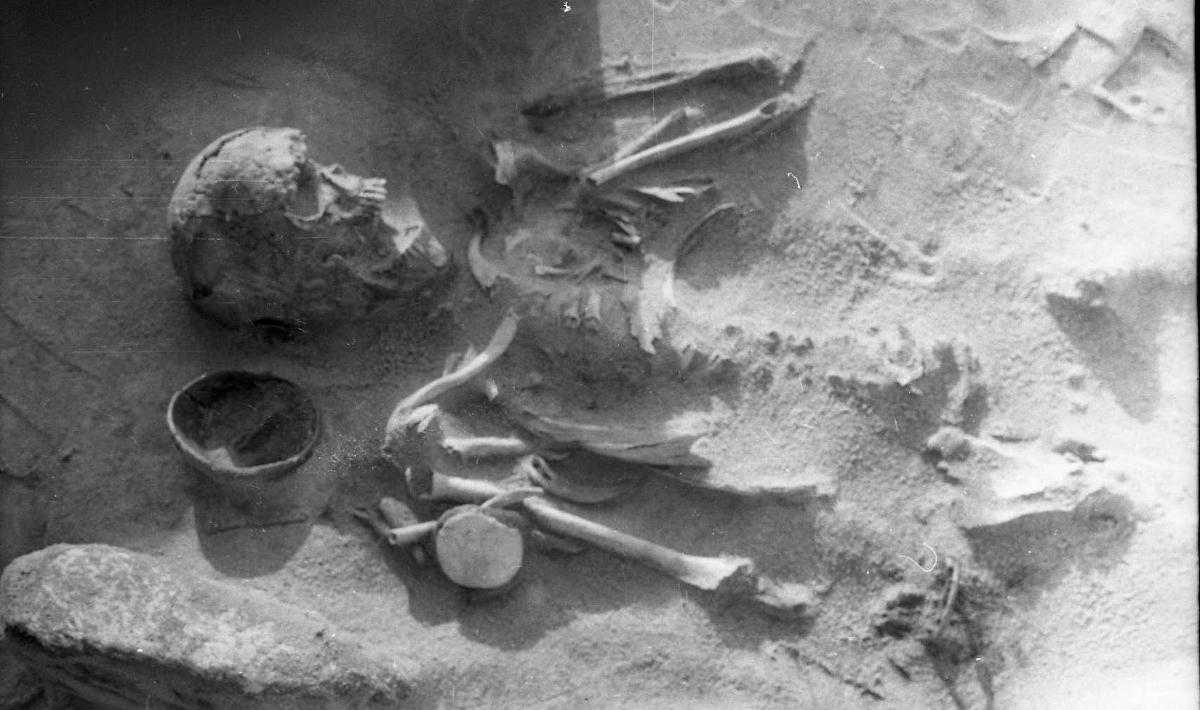 Przeczyce – grób szkieletowy szamana z cmentarzyska łużyckiego - fotografia prezentowana na wystawie „Zapomniane nekropolie” (źródło: materiały prasowe muzeum)