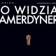 Spektakl „Co widział kamerdyner?”, reż. Andrzej Zaorski, Teatr Polski w Bielsku-Białej, plakat (źródło: materiały prasowe organizatora)