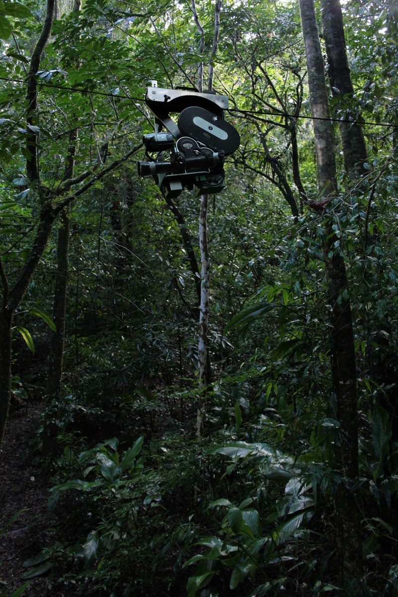 Daniel Steegmann, „16 mm”, 2008–2011, film 16 mm, 4'54", dokumentacja fotograficzna, fot. Ricardo Benassi, dzięki uprzejmości artysty (źródło: materiały prasowe organizatora)