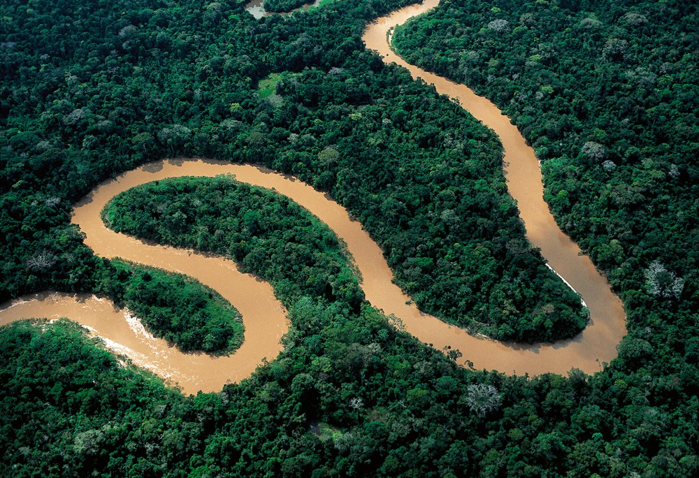 „Amazonia. Przygody małpki Sai”, reż. Thierry Ragobert (źródło: materiały prasowe dystrybutora)