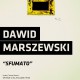 Dawid Marszewski, „Sfumato”, Galeria Aula w Poznaniu, plakat (źródło: materiały prasowe organizatora)