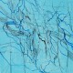 Gossia Zielaskowska, „Blue map", 2014, olej, płótno (źródło: materiały prasowe organizatora)