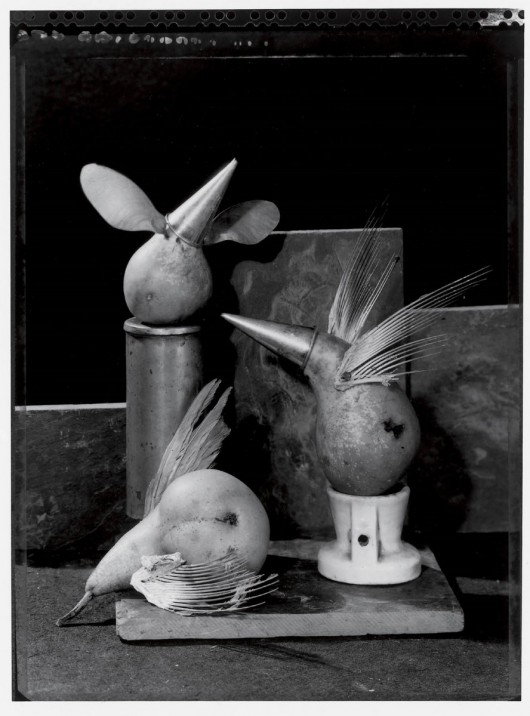 Michel Medinger, „Pears with wings” (źródło: materiały prasowe organizatora)