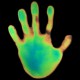 Termografia dłoni © Science Photo Library / East News (źródło: materiały prasowe organizatora)
