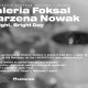 Marzena Nowak, „A Bright, Bright Day”, Galeria Foksal w Warszawie, zaproszenie (źródło: materiały prasowe organizatora)