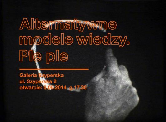 „Alternatywne modele wiedzy. Ple Ple”, Galeria Szyperska w Poznaniu (źródło: materiały prasowe organizatora)