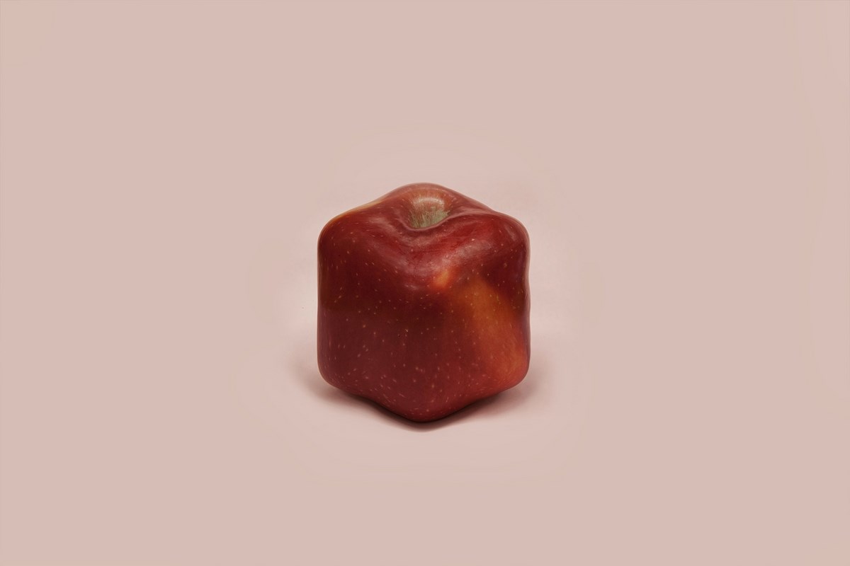 Renhui Zhao, „A Guide to the Flora and Fauna of the World”, square apple (źródlo: materiały prasowe organizatora)
