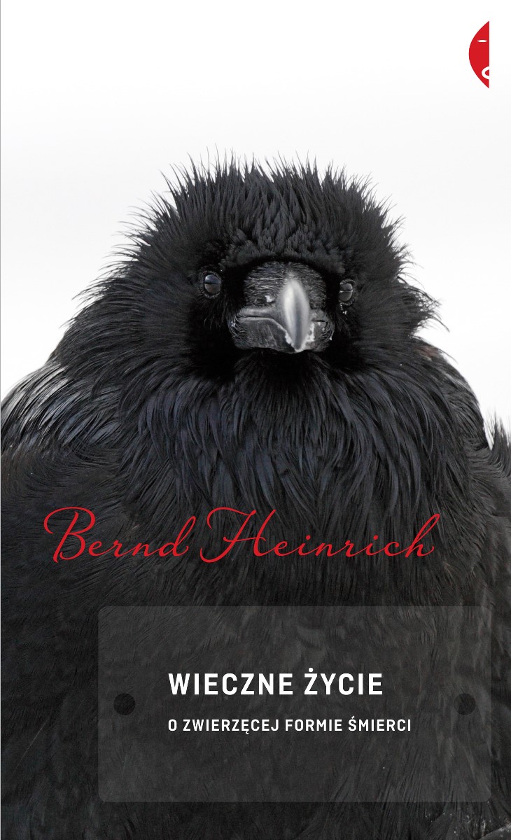 Bernd Heinrich „Wieczne życie. O zwierzęcej formie śmierci” – okładka (źródło: materiały prasowe)