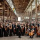 Classical Concert Chamber Orchestra z Kalifornii, wykonawca na XXXIII MFMO w Stegnie (źródło: materiały prasowe organizatora)