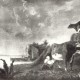 Albert Cuyp „Krajobraz z krowami” (źródło: materiały prasowe)