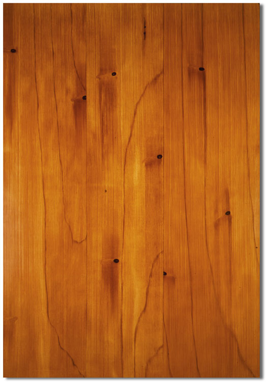 Peter Grzybowski, „Pine/Sosna”, 1992, olej, płótno, 178 x 127 cm (źródło: materiały prasowe)