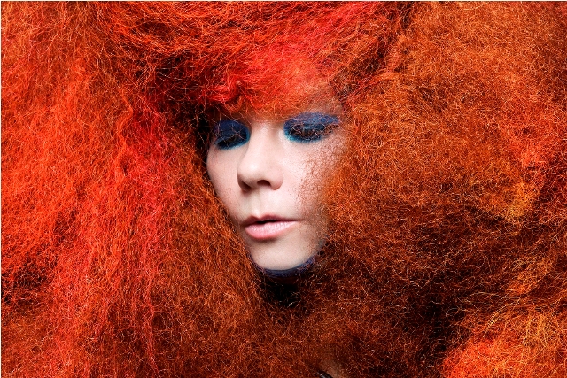 Björk (źródło: materiały prasowe organizatora)