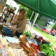 Jarmark sezonowy – Festiwal Cztery Pory Roku / Lato (źródło: materiały prasowe)