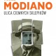 Patrick Modiano „Ulica ciemnych sklepików” – okładka (źródło: materiały prasowe)