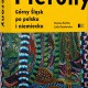 „Pierony. Górny Śląsk po polsku i niemiecku” – okładka (źródło: materiały prasowe)