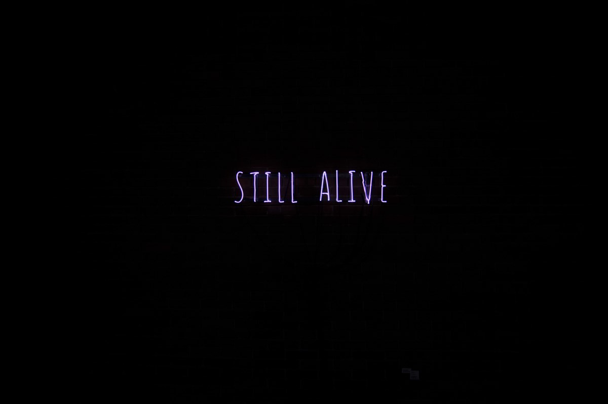 Czekalska+Golec, „STILL ALIVE”, 2014 (źródło: materiały prasowe organizatora)