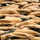 Isabelle Schad, „Collective Jumps" (źródło: materiały prasowe)