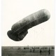 Niemiecki dwuosobowy balon obserwacyjny typu Parseval-Sigsfeld na uwięzi przed wzniesieniem w górę; na ziemi widoczny kosz i wchodzący do niego żołnierz. Z kolekcji Tomasza Kuby Kozłowskiego (źródło: materiały prasowe)