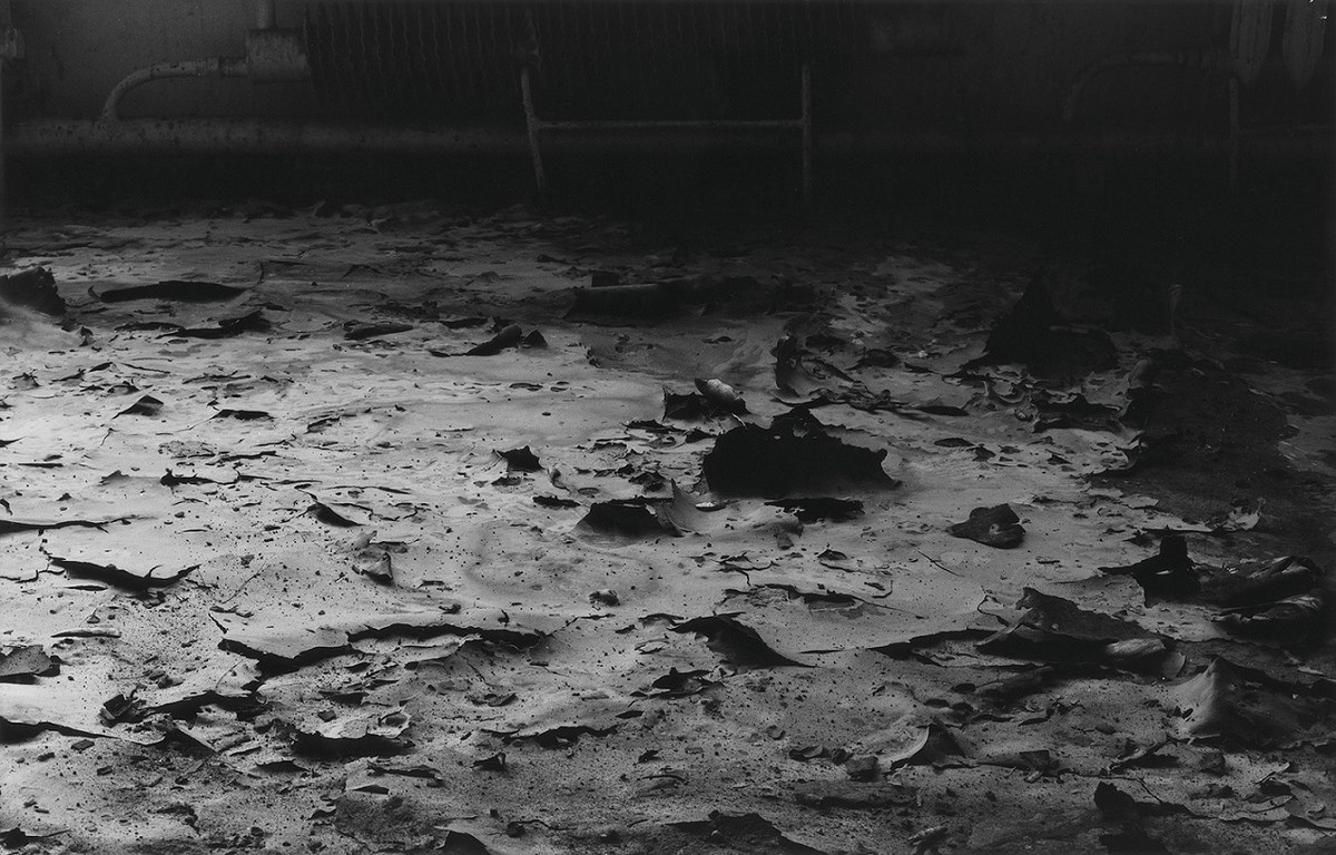 Mikołaj Smoczyński, „The secret performance II (Fields of Transition)”, 1992–1993, fotografia (źródło: materiały prasowe organizatora)