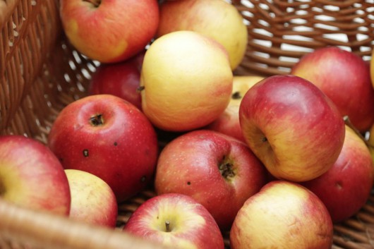 Spotkanie, „Jabłko pierzchliwej Atalanty. Owoc w sztuce i kuchni renesansu” (źródło: materiały prasowe organizatora)