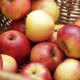 Spotkanie, „Jabłko pierzchliwej Atalanty. Owoc w sztuce i kuchni renesansu” (źródło: materiały prasowe organizatora)