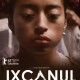 „Ixcanul”, reż. Jayro Bustamante (źródło: materiały prasowe)