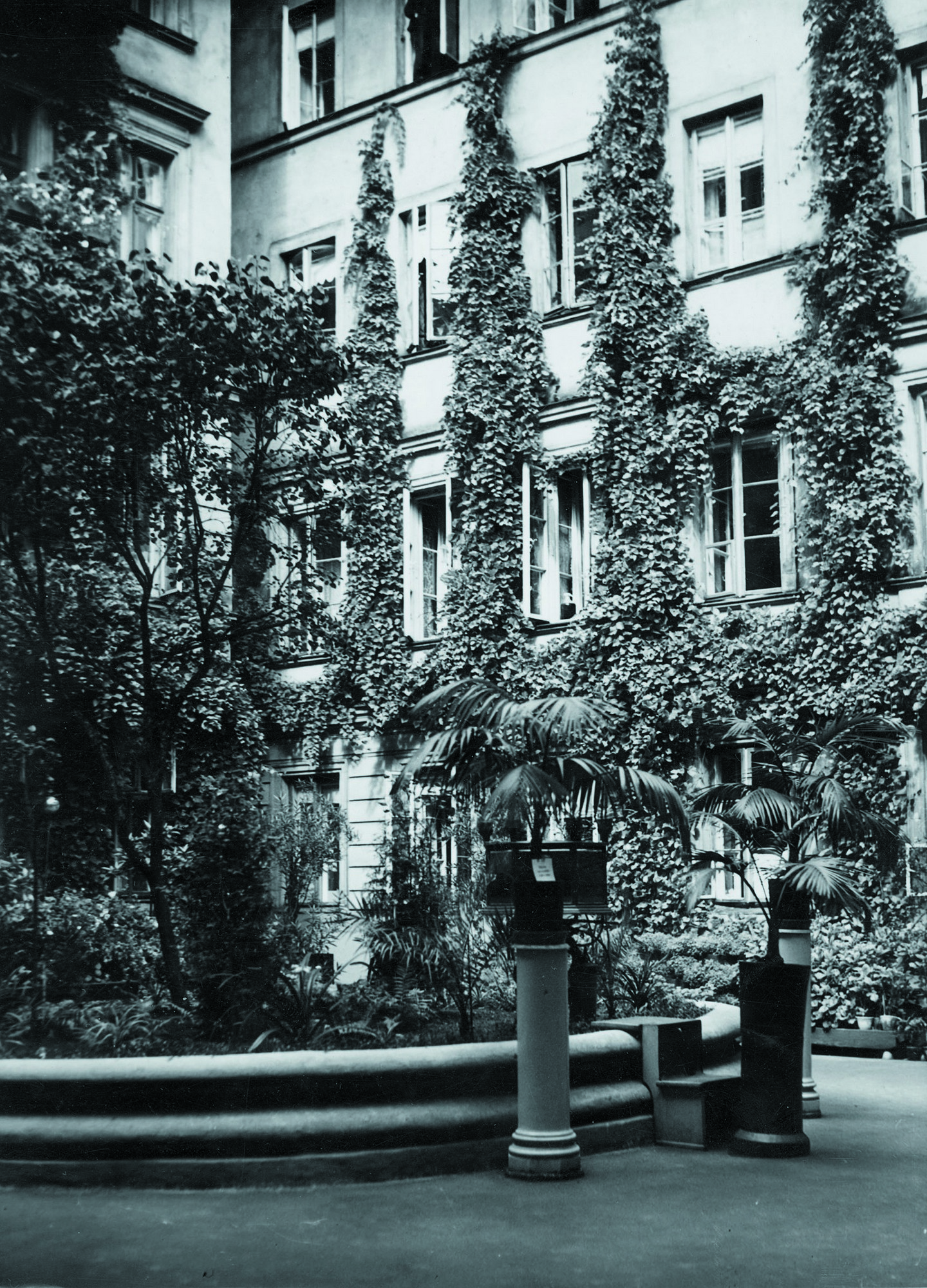 Podwórko kamienicy przy Złotej 32, nagrodzone w konkursie „Warszawa w kwiatach”, 1932. Fot. Narodowe Archiwum Cyfrowe (źródło: materiały prasowe DSH)