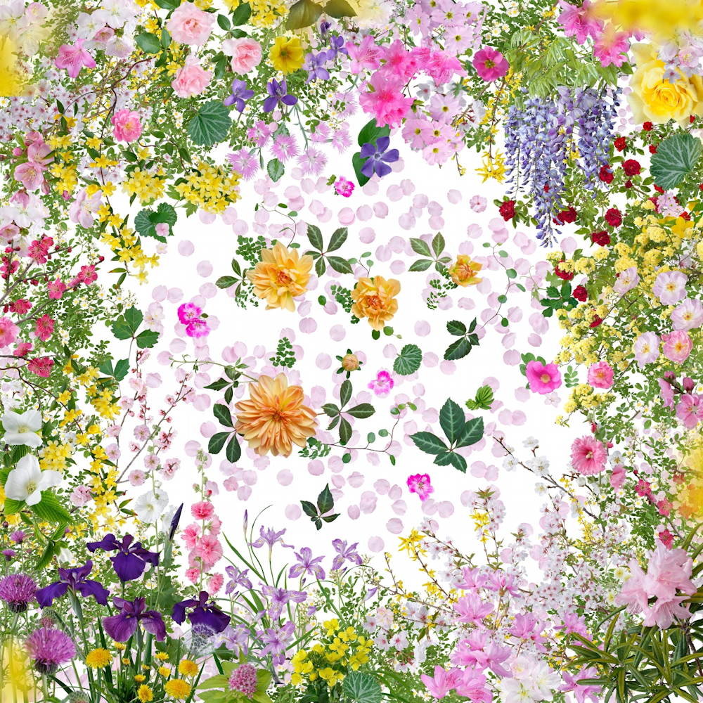 „Kwiaty Fukushimy”, fot. Katsuhiro Noguchi (źródło: materiały prasowe)