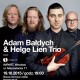 Adam Bałdych & Helge Lien Trio (źródło: materiały prasowe)