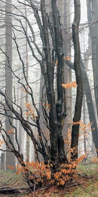 Janusz Wojcieszak, „W buku nadzieja…” (źródło: materiały prasowe)