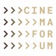 14. Międzynarodowe Forum Niezależnych Filmów Fabularnych w Warszawie, logotyp (źródło: materiały prasowe organizatora)