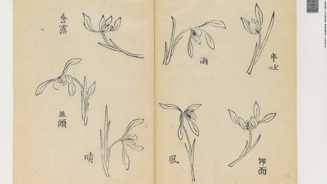 Hu Zhengyan, „Podręcznik kaligrafii i malarstwa” („Shi zhu zhai shu hua pu”), (źródło: CNN Style)