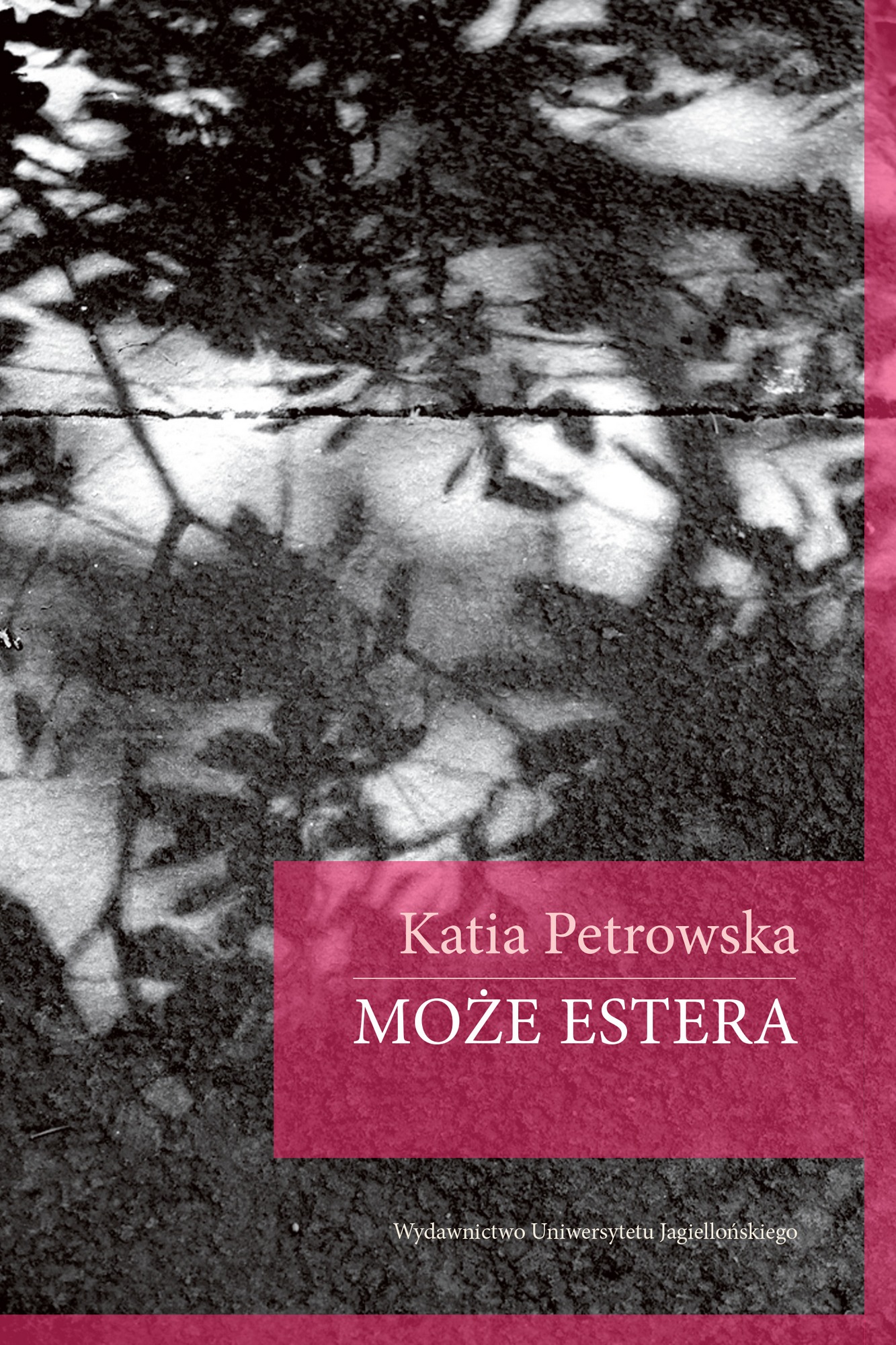 Katia Petrowska, „Może Estera” – okładka (źródło: materiały prasowe wydawcy)