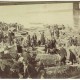 Handel nad brzegiem Wisły opodal mostu Kierbedzia, ok. 1892. Fot. Konrad Brandel/ Biblioteka Publiczna m. st. Warszawy (źródło: materiały prasowe)