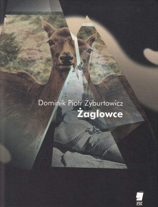 Dominik Piotr Żyburtowicz, „Żaglowce” – okładka (źródło: materiały prasowe wydawcy)