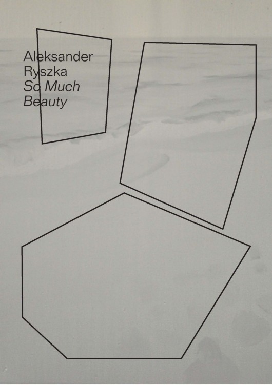Aleksander Ryszka, „So much beauty” – plakat (źródło: materiały prasowe organizatora)