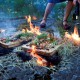 „Cooking Catastephes”, reż Ewa Mayer-Keller (źródło: materiały prasowe organizatora)