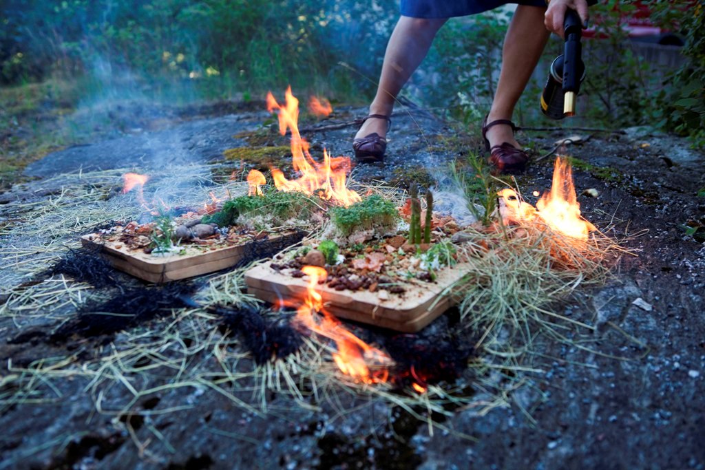 „Cooking Catastephes”, reż Ewa Mayer-Keller (źródło: materiały prasowe organizatora)