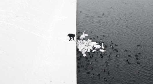 Marcin Ryczek, „A Man Feeding Swans in the Snow”, (źródło materiały prasowe organizatora)