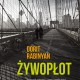 Dorit Rabinyan, „Żywopłot” (źródło: mat. pras. wydawcy)