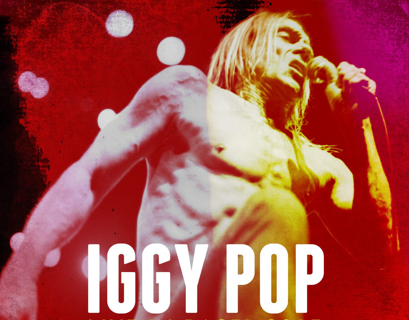 Iggy Pop (źródło: materiały prasowe)