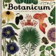 Kathy Willis, „Botanicum" (źródło: mat. pras. wydawcy)