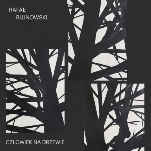 Rafał Bujnowski, „Człowiek na drzewie”, 2016 (źródło: materiały prasowe organizatora)