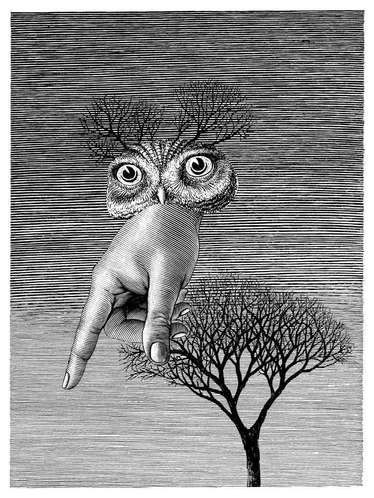 Ilustracja Daniela Mroza, „Sówka”, 1961 (źródło: materiały prasowe organizatora)