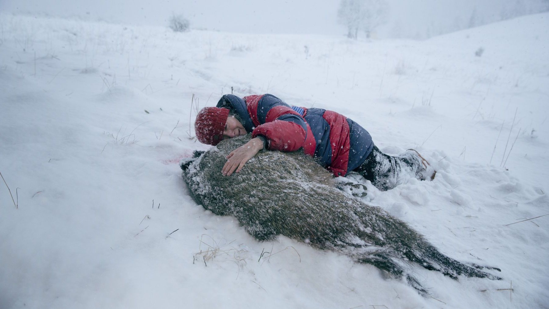 „Pokot”, reż. Agnieszka Holland, fot. Robert Pałka (źródło: materiały prasowe dystrybutora)