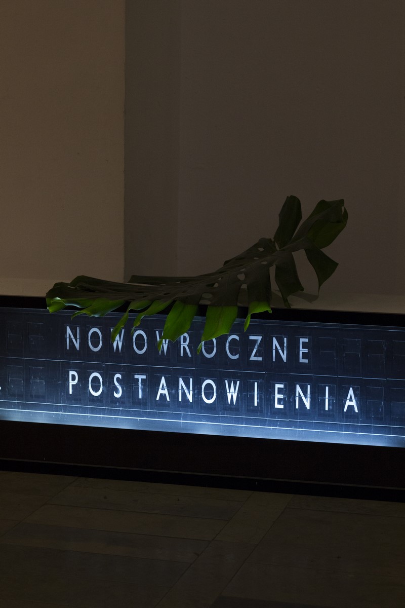 „Noworoczne postanowienia”, fot. Alicja Kielan (źródło: materiały prasowe organizatora)