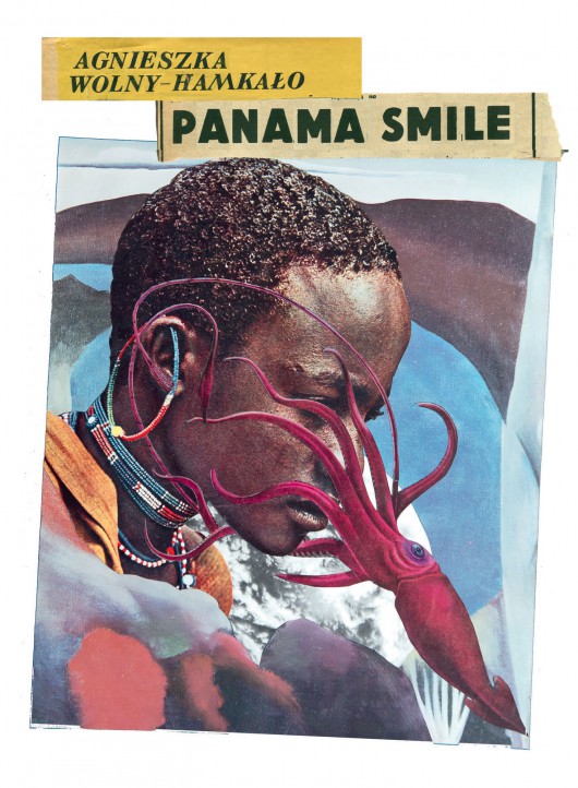 Agnieszka Wolny-Hamkało, „Panama smile” – okładka (źródło: materiały prasowe)