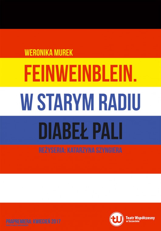 Weronika Murek, „Feinweinblain. W starym radiu diabeł pali”, reż. Katarzyna Szyngiera (źródło: materiały prasowe teatru)