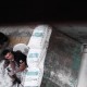 „9 Days – From My Window in Aleppo”, reż. Issa Touma, Floor van de Muelen, Thomas Vroege (źródło: materiały prasowe organizatora)