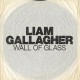 Liam Gallagher, „Wall of Glass” (źródło: materiały prasowe wydawcy)